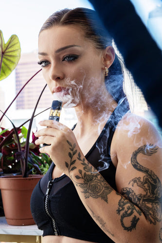 What is Delta-6? Find out for yourself.