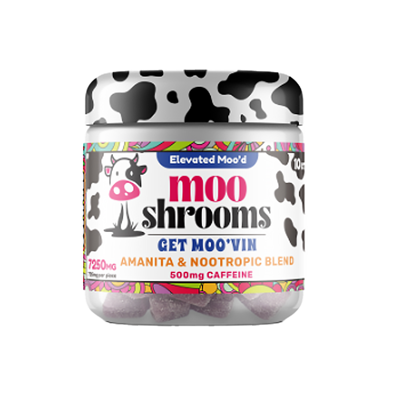 Get Moo'vin Mooshrooms Gummies – Amanita & Nootropic Blend – An energizing gummy packed with 500mg of caffeine & natural mushrooms for focus & productivity.