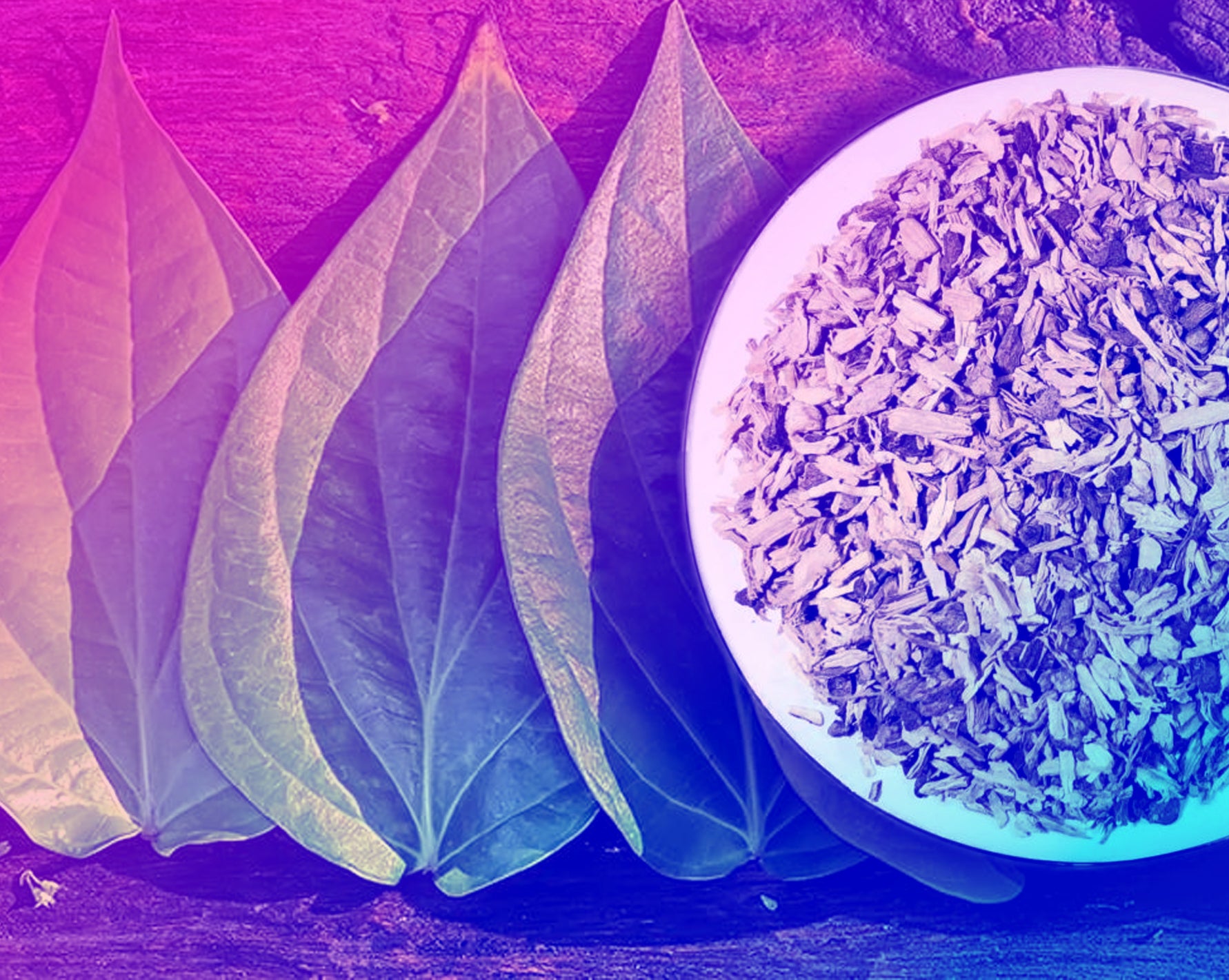 Delta World Kava collection – premium herbal products for relaxation, mood enhancement, and wellness.