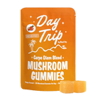 Road Trip - Day Trip - Microdosed Gummies - 70g.